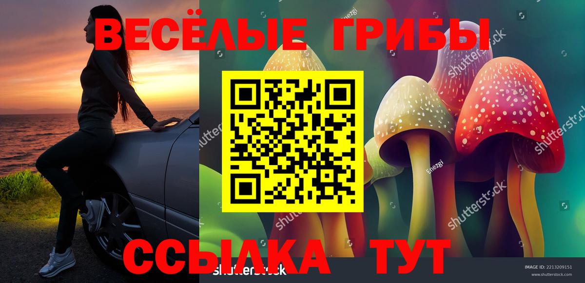 Галлюциногенные грибы мухоморы  Галлюциногенные грибы Psilocybe  Вход с VPN  Элиста 