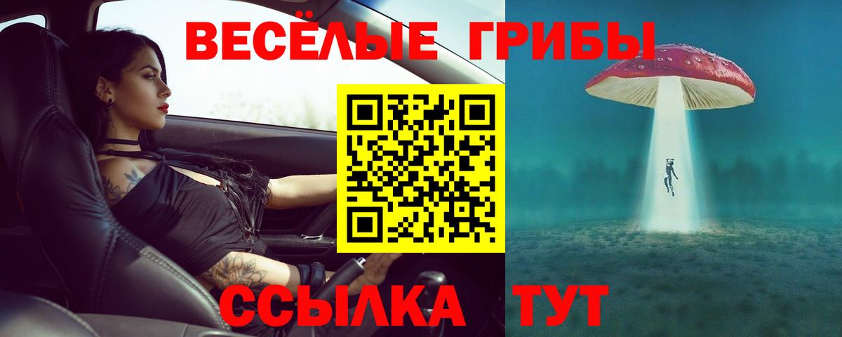 Псилоцибиновые грибы мухоморы Элиста