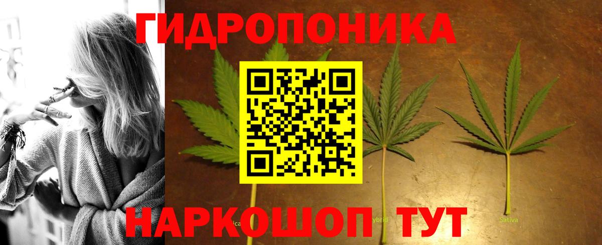 Элиста  Канабис марихуана  Бошки Шишки гибрид  Бошки марихуана White Widow  Вход с VPN 